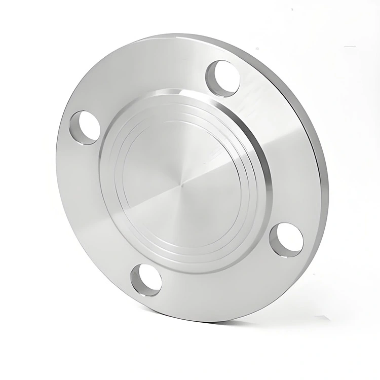 304 Stainless Steel Blind Flanges 304 Stainless Steel Blind Flanges