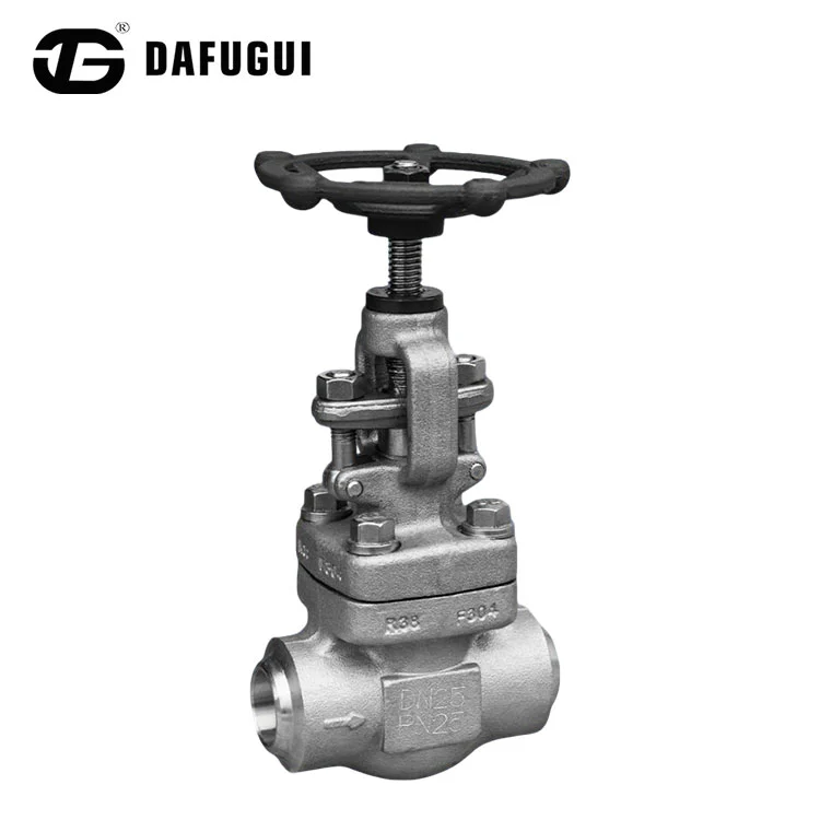 Stainless Steel Butt Welded Globe Valve